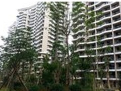 規(guī)模大的綠地海長流公司---美蘭省計服務(wù)部--海口市房產(chǎn)市場-海口美蘭省計服務(wù)部提供規(guī)模大的綠地海長流公司---美蘭省計服務(wù)部--海口市房產(chǎn)市場的相關(guān)介紹、產(chǎn)品、服務(wù)、圖片、價格東匯森語林【老城】、海南房產(chǎn)、海南房地產(chǎn)、海南地產(chǎn)、海南房產(chǎn)網(wǎng)、海南養(yǎng)老房產(chǎn)、