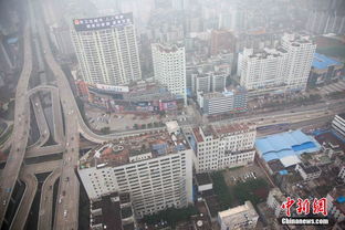 海南海口雨霧天持續(xù) 樓宇若隱若現(xiàn)