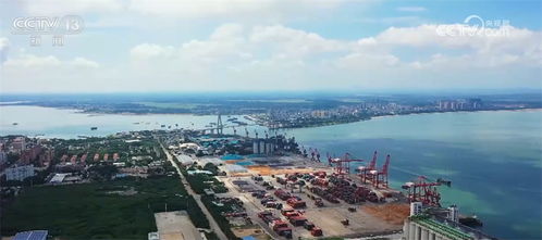 解決問題優化流程 洋浦積極打造海南高質量發展第三極