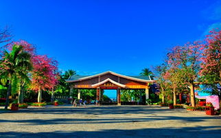 徒步 天涯海角之夜 三亞站 感受海南島南端熱情