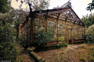 震撼人心 尋找廢置建筑的獨特之美