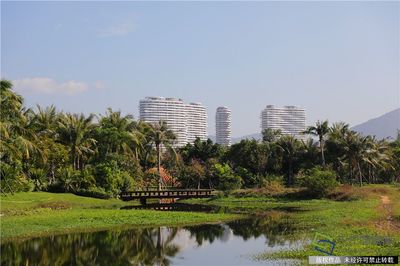 探盤海云家園:打造三亞紅塘灣高端旅游綜合體-千龍網·中國首都網