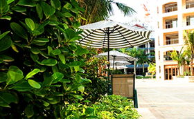 新華網(wǎng)攜手21世紀海南房產(chǎn) 半價游海南 看房活動