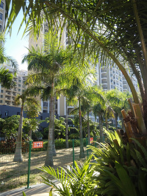 海南海景房怎么樣?海南海景房值得買嗎?