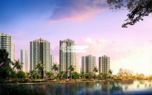 杜甫很忙 據說最近在海南看房買房(組圖)_新浪地產網